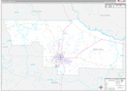 Ben Hill Wall Map Premium Style